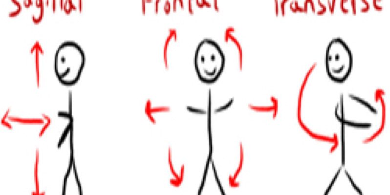 bewegingsvlakken-yoga Bewegingsvlakken yoga